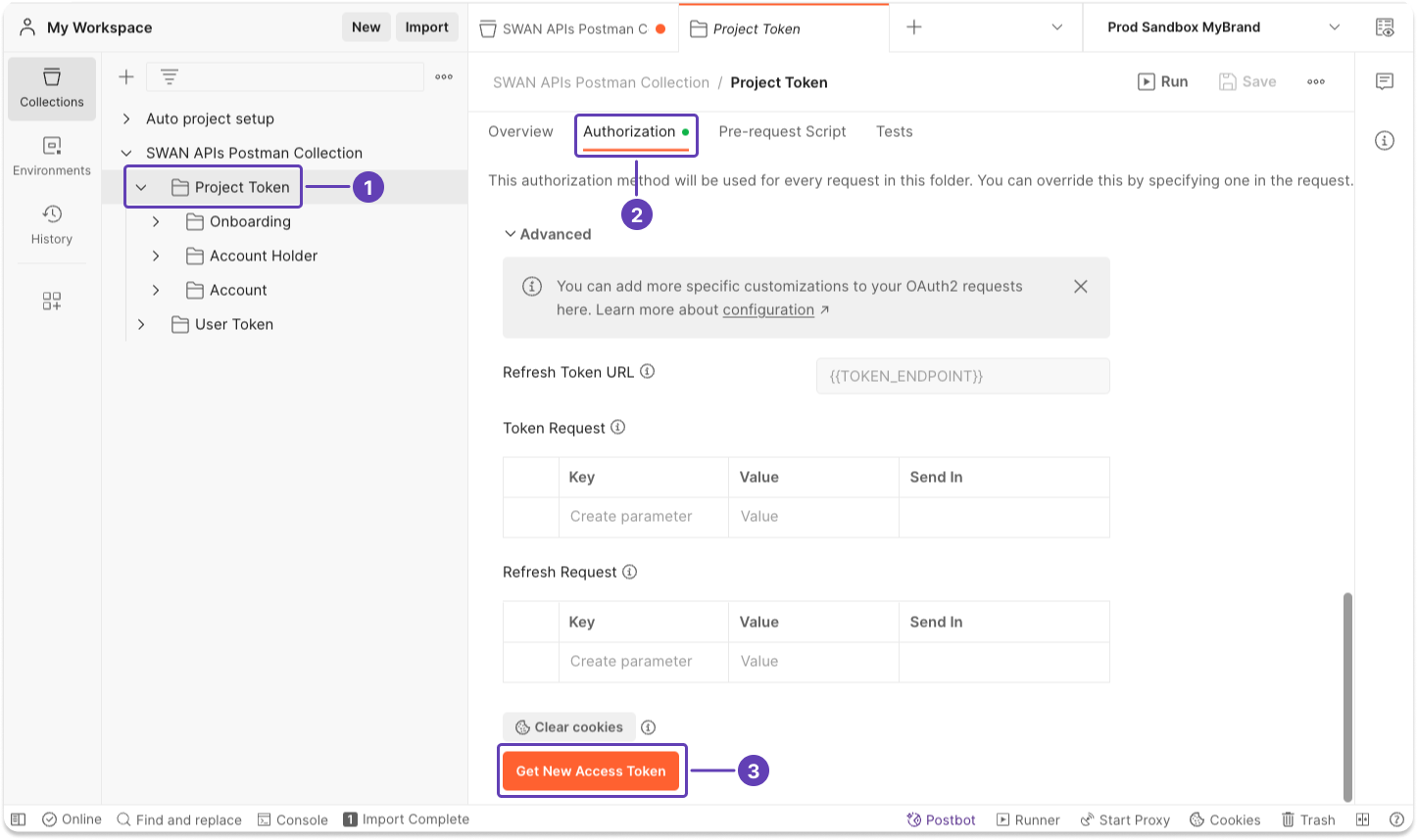 Image of Postman guiding user to get a new project access token